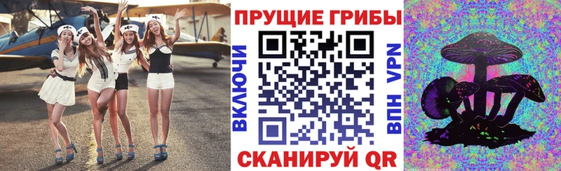 Галлюциногенные грибы мицелий  Купить где  Игра 