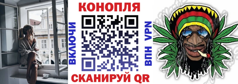 Конопля THC 21%  Купить где  Игра 